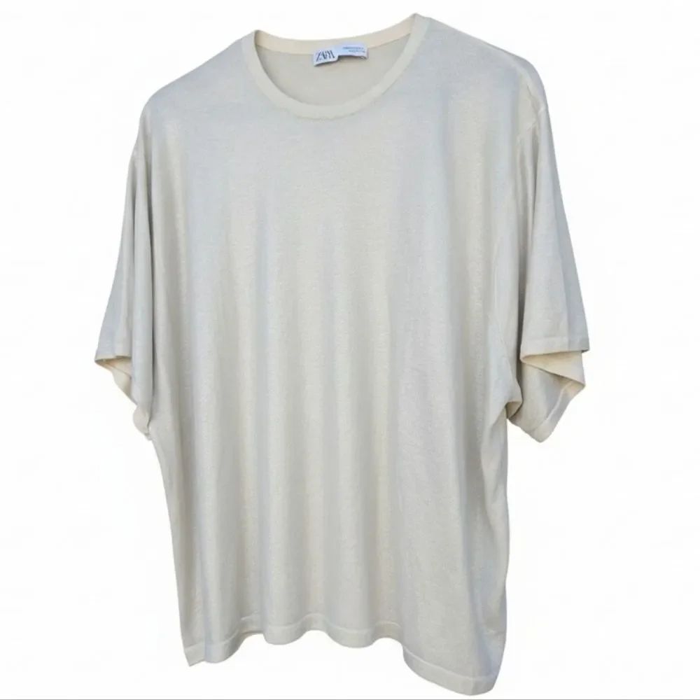 Great Condition.This garment is a metal mesh T-shirt of the Zara brand